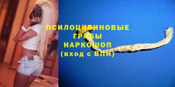 гидропоника Горно-Алтайск